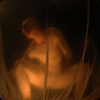 Membrane 2004
